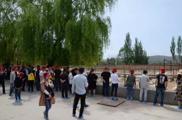 腾博汇游戏官网 - 诚信为本,专业服务!