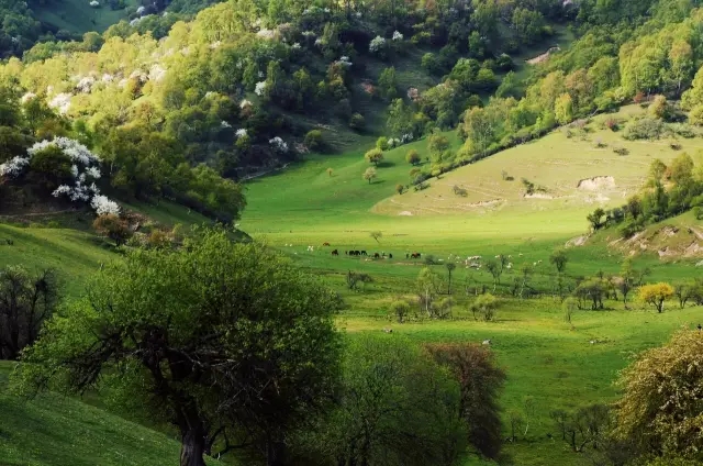 腾博汇游戏官网 - 诚信为本,专业服务!