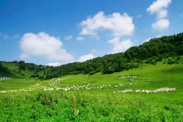 腾博汇游戏官网 - 诚信为本,专业服务!