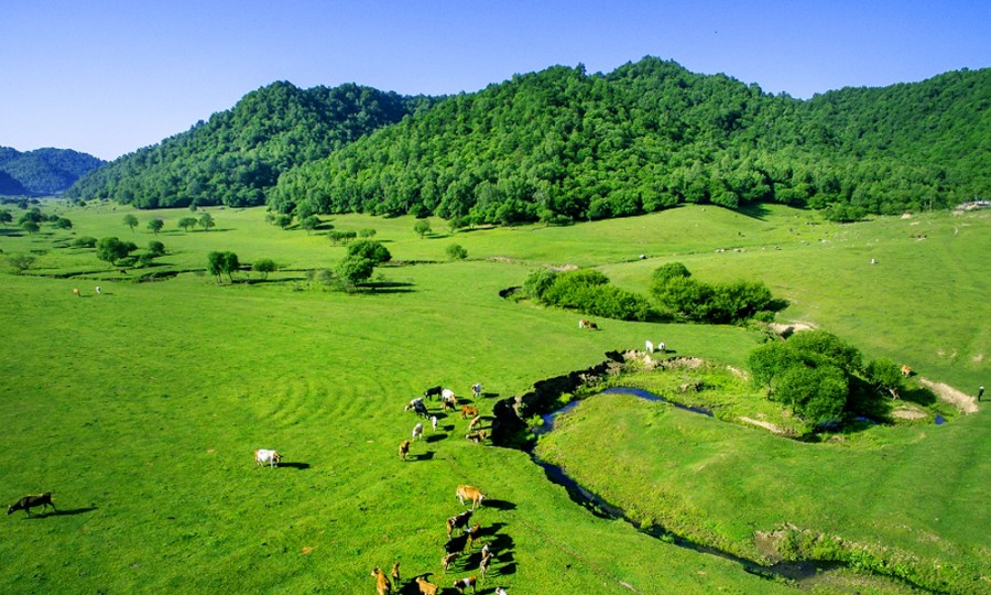 腾博汇游戏官网 - 诚信为本,专业服务!