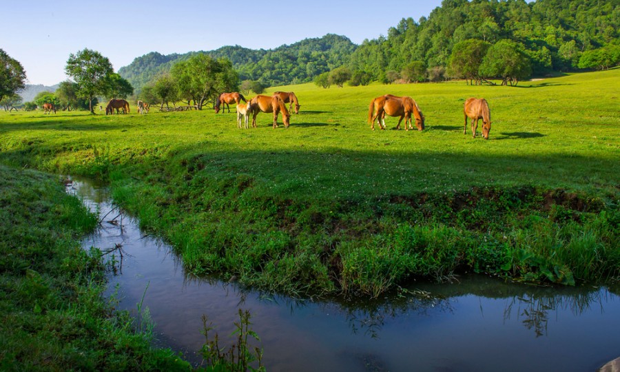 腾博汇游戏官网 - 诚信为本,专业服务!