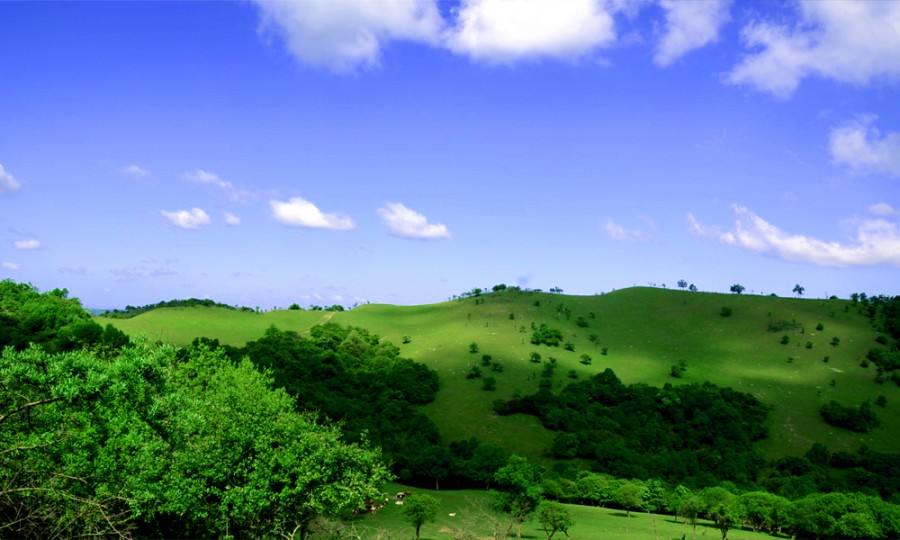 腾博汇游戏官网 - 诚信为本,专业服务!