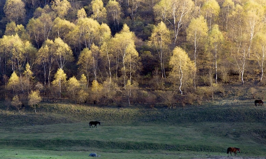 腾博汇游戏官网 - 诚信为本,专业服务!