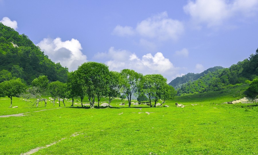 腾博汇游戏官网 - 诚信为本,专业服务!