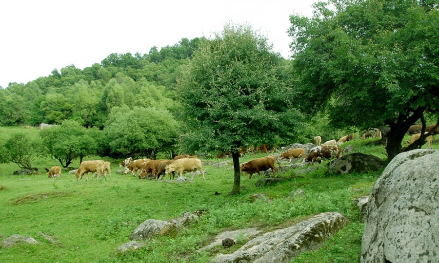 腾博汇游戏官网 - 诚信为本,专业服务!