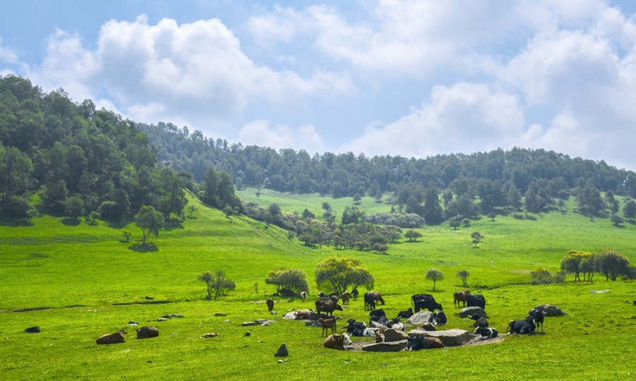 腾博汇游戏官网 - 诚信为本,专业服务!