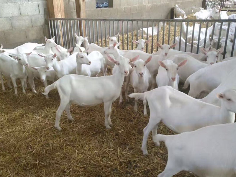 腾博汇游戏官网 - 诚信为本,专业服务!