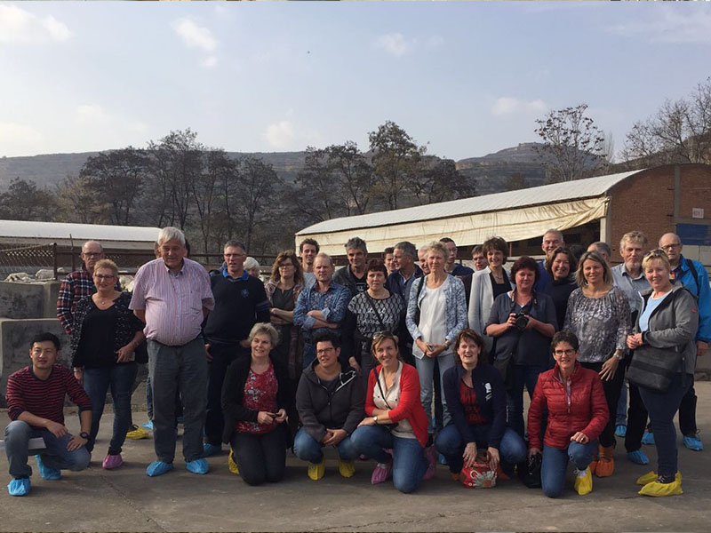 腾博汇游戏官网 - 诚信为本,专业服务!