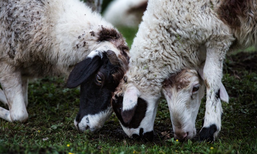 腾博汇游戏官网 - 诚信为本,专业服务!