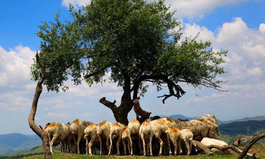 腾博汇游戏官网 - 诚信为本,专业服务!