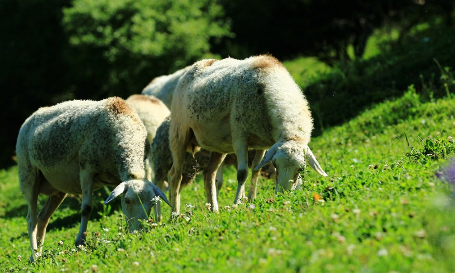 腾博汇游戏官网 - 诚信为本,专业服务!