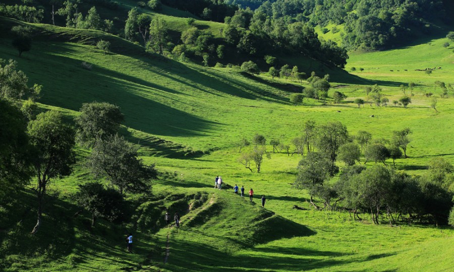 腾博汇游戏官网 - 诚信为本,专业服务!
