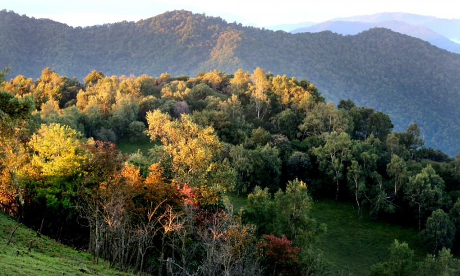 腾博汇游戏官网 - 诚信为本,专业服务!