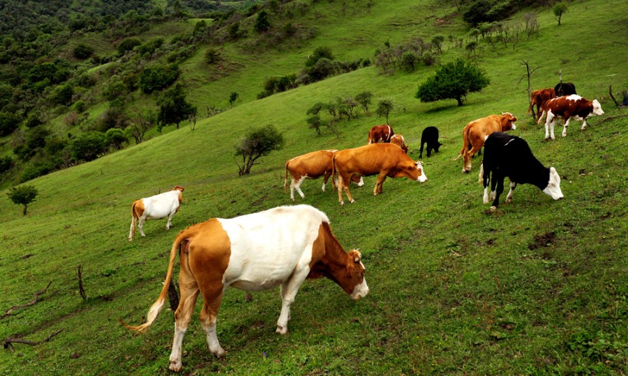 腾博汇游戏官网 - 诚信为本,专业服务!