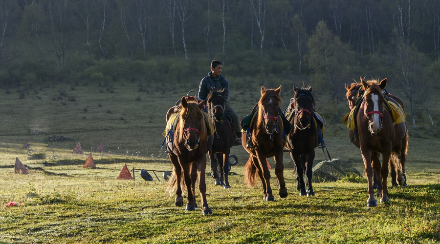腾博汇游戏官网 - 诚信为本,专业服务!