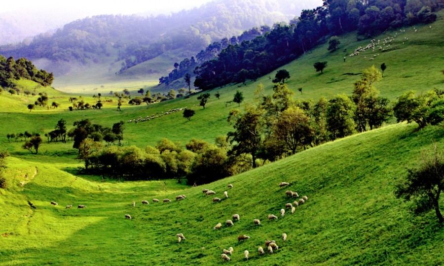 腾博汇游戏官网 - 诚信为本,专业服务!