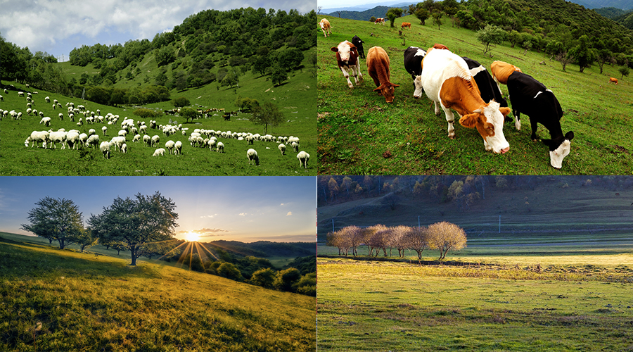 腾博汇游戏官网 - 诚信为本,专业服务!