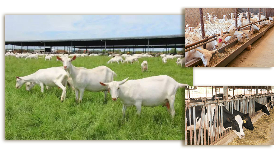 腾博汇游戏官网 - 诚信为本,专业服务!