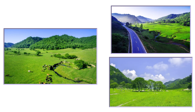 腾博汇游戏官网 - 诚信为本,专业服务!