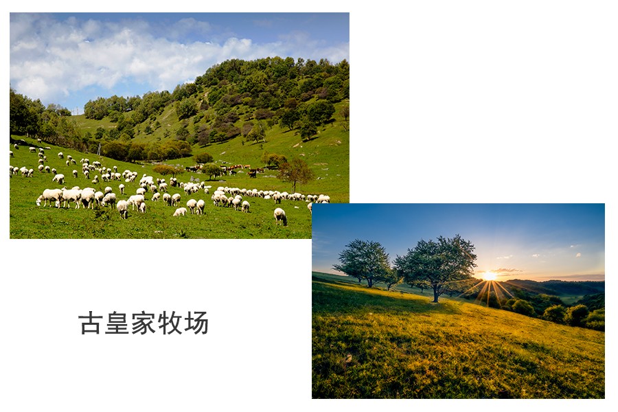 腾博汇游戏官网 - 诚信为本,专业服务!