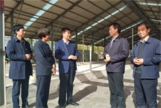 �ڲ�����Ϸ���� - ����Ϊ��,רҵ����!