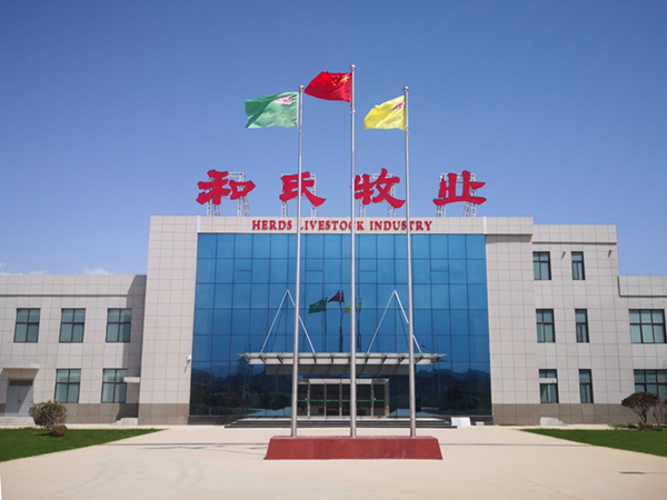 �ڲ�����Ϸ���� - ����Ϊ��,רҵ����!