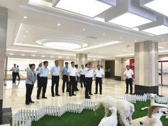 �ڲ�����Ϸ���� - ����Ϊ��,רҵ����!