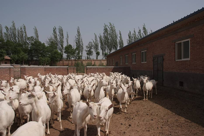 腾博汇游戏官网 - 诚信为本,专业服务!