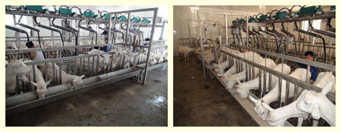 腾博汇游戏官网 - 诚信为本,专业服务!