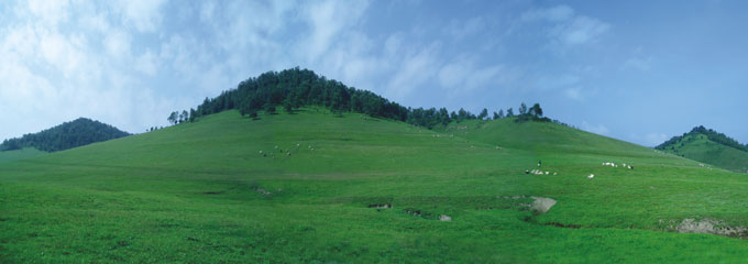 腾博汇游戏官网 - 诚信为本,专业服务!