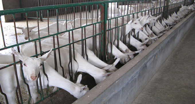 腾博汇游戏官网 - 诚信为本,专业服务!