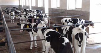 腾博汇游戏官网 - 诚信为本,专业服务!