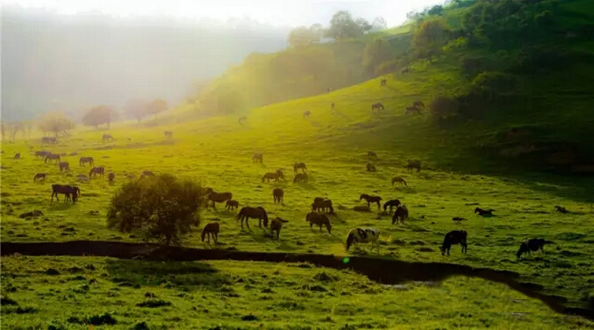 腾博汇游戏官网 - 诚信为本,专业服务!
