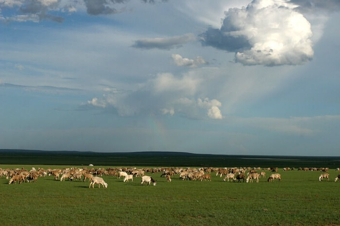腾博汇游戏官网 - 诚信为本,专业服务!