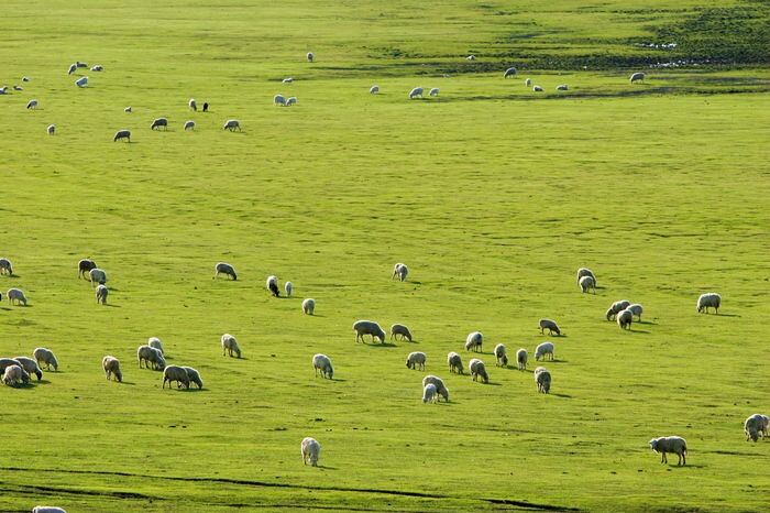 腾博汇游戏官网 - 诚信为本,专业服务!