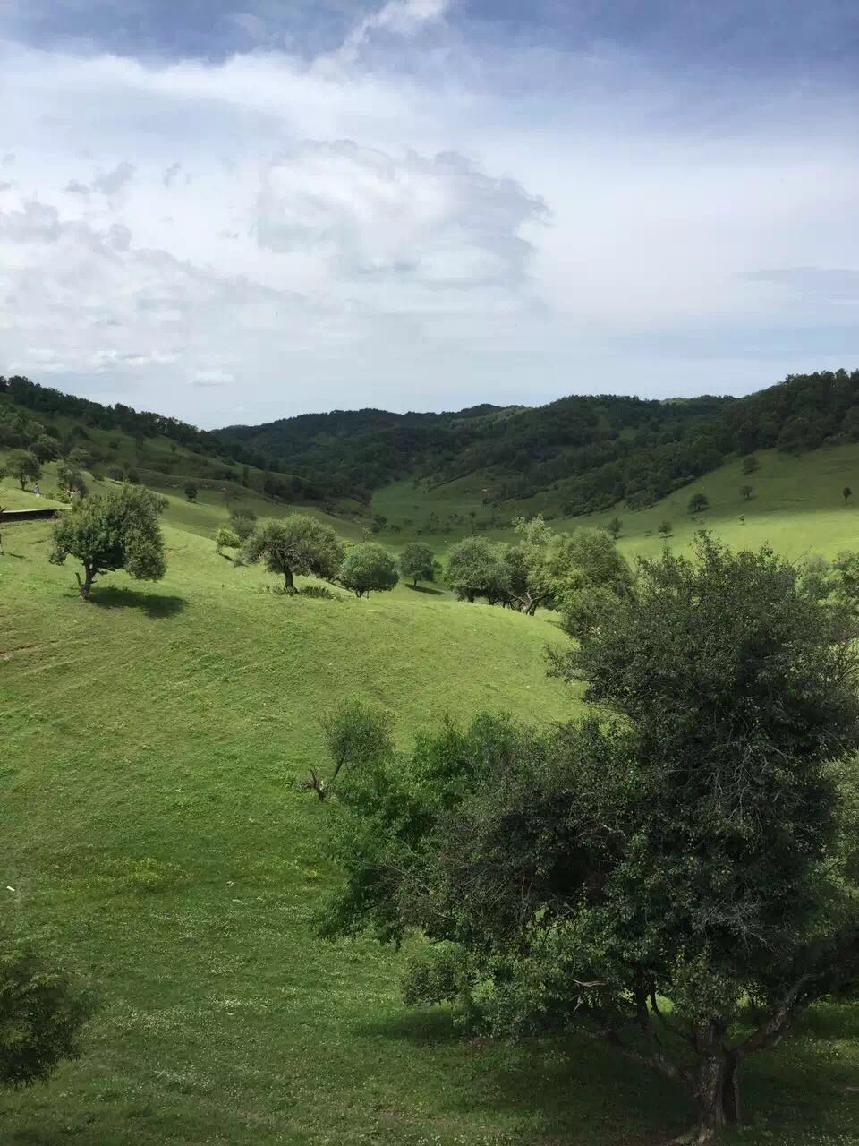 腾博汇游戏官网 - 诚信为本,专业服务!