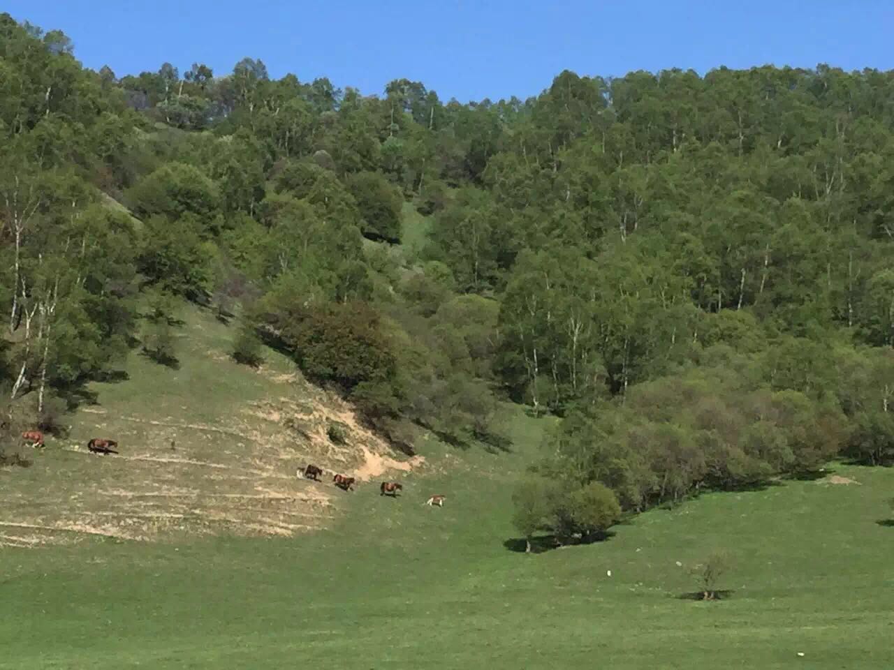 腾博汇游戏官网 - 诚信为本,专业服务!