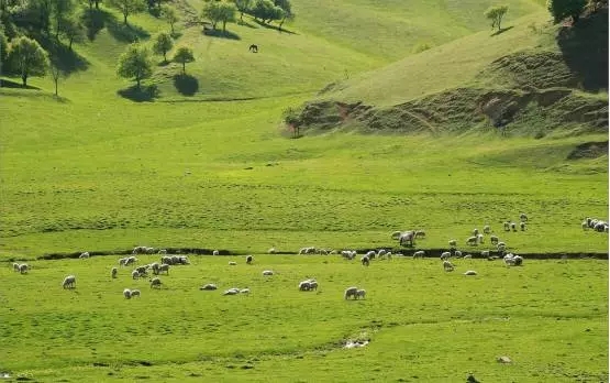 腾博汇游戏官网 - 诚信为本,专业服务!