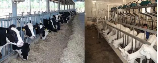 腾博汇游戏官网 - 诚信为本,专业服务!