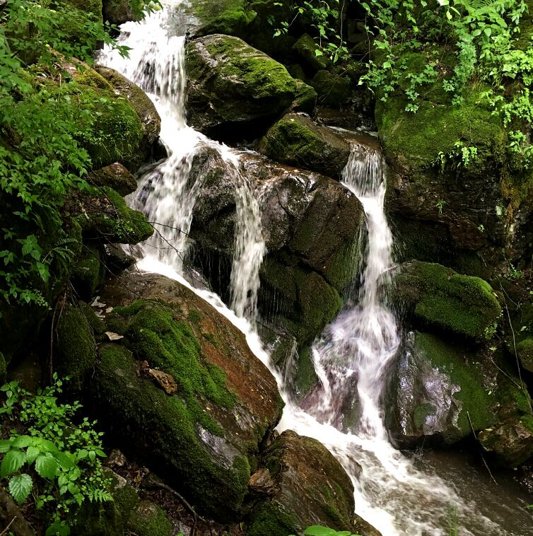 腾博汇游戏官网 - 诚信为本,专业服务!