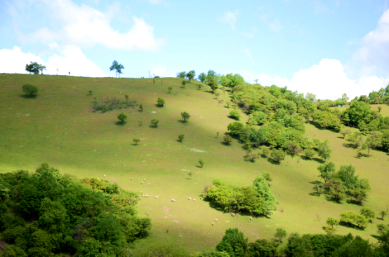 腾博汇游戏官网 - 诚信为本,专业服务!