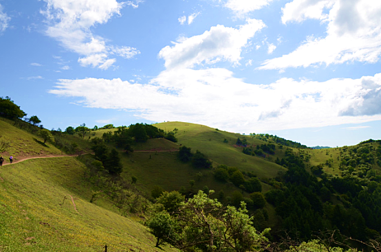 腾博汇游戏官网 - 诚信为本,专业服务!