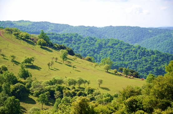 腾博汇游戏官网 - 诚信为本,专业服务!