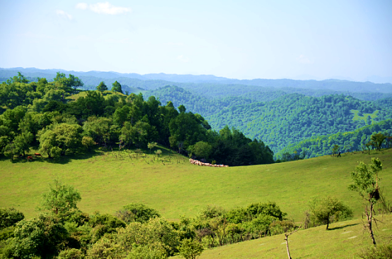 腾博汇游戏官网 - 诚信为本,专业服务!