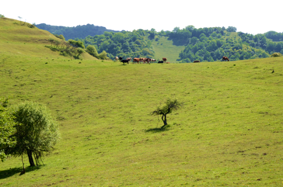 腾博汇游戏官网 - 诚信为本,专业服务!