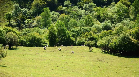 腾博汇游戏官网 - 诚信为本,专业服务!