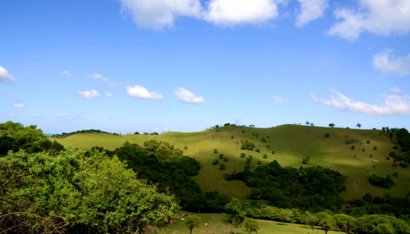腾博汇游戏官网 - 诚信为本,专业服务!