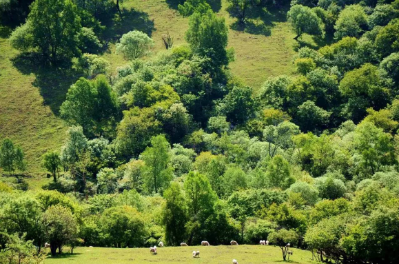 腾博汇游戏官网 - 诚信为本,专业服务!