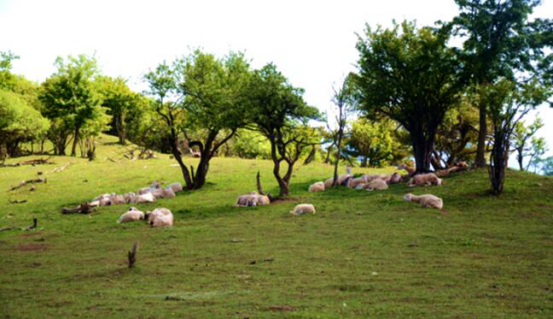 腾博汇游戏官网 - 诚信为本,专业服务!