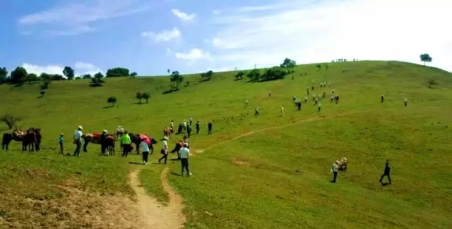 腾博汇游戏官网 - 诚信为本,专业服务!